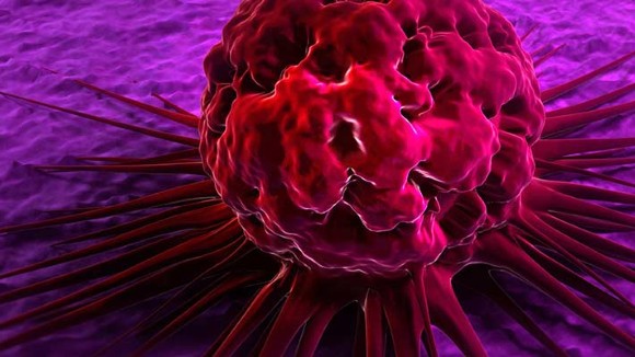 Breast Cancer Prevention and Oncology Education