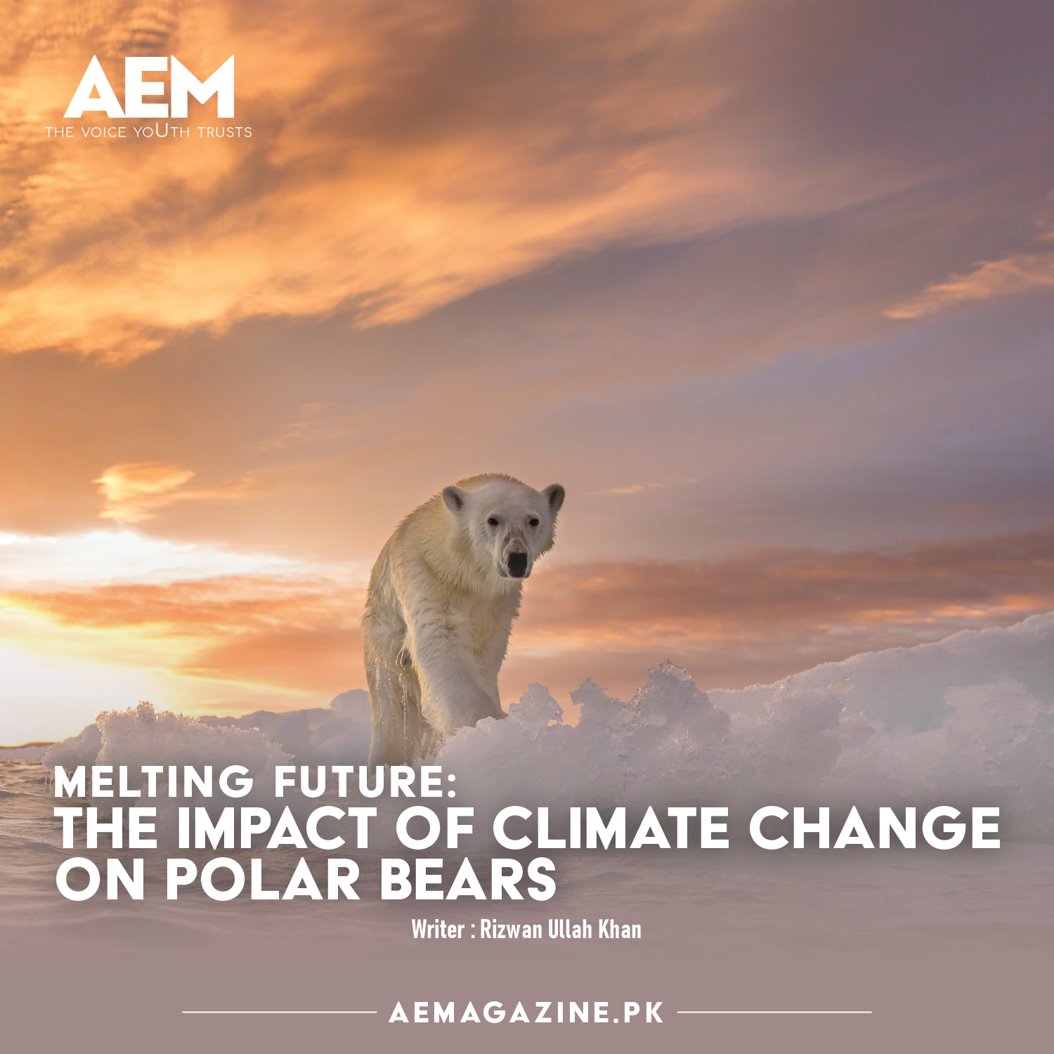 Melting Future: The Impact of Climate Change on Polar Bears