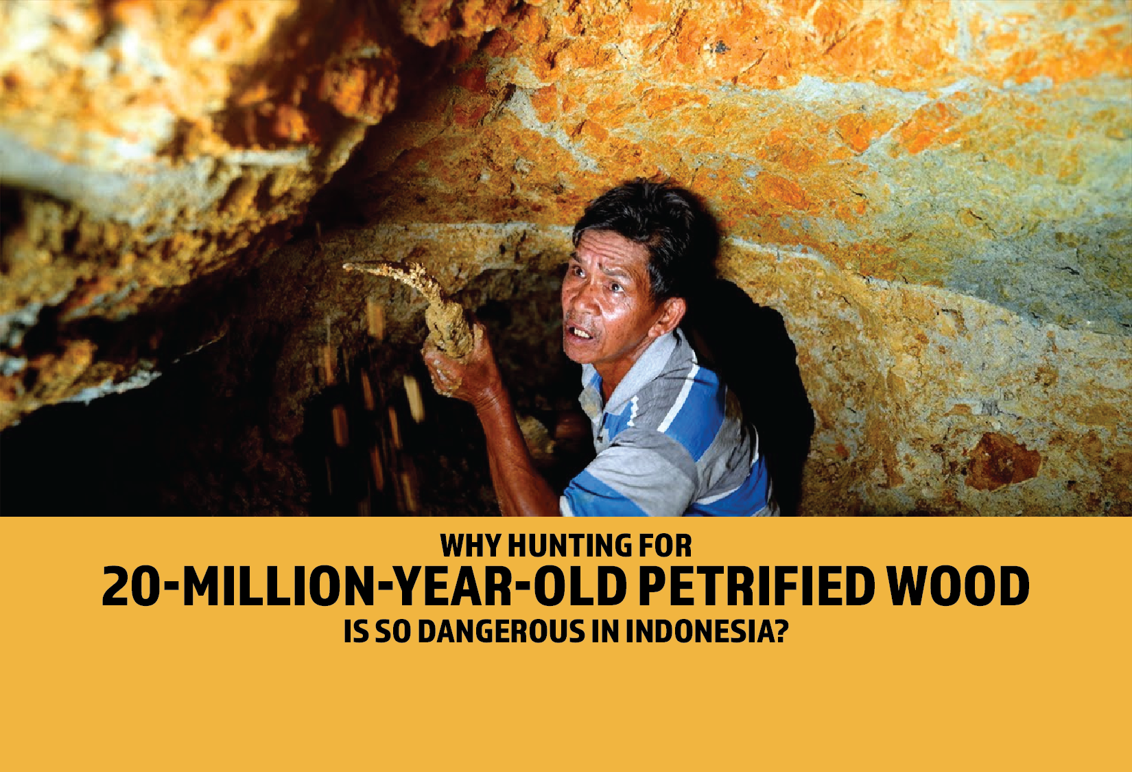 Why Hunting For 20-Million-Year-Old Petrified Wood Is So Dangerous In Indonesia?